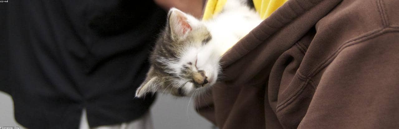 Unauth title RLbYhaUg