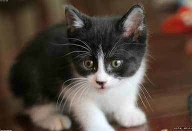 305447728_test_media_987x674.jpg